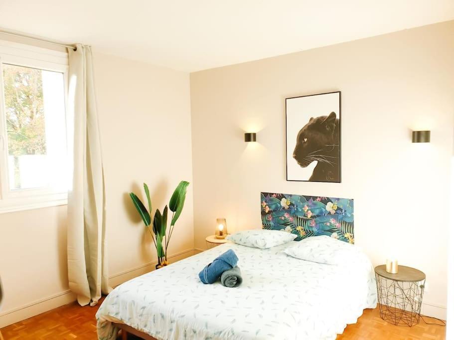 Cosy Mure 4Ch - Stationnement Gratuit Pau Kültér fotó