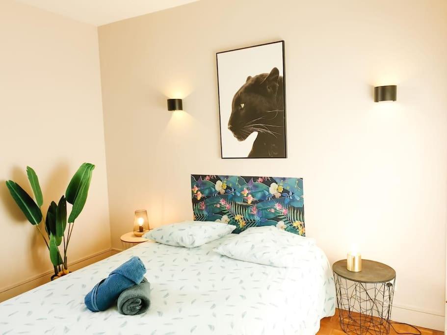 Cosy Mure 4Ch - Stationnement Gratuit Pau Kültér fotó